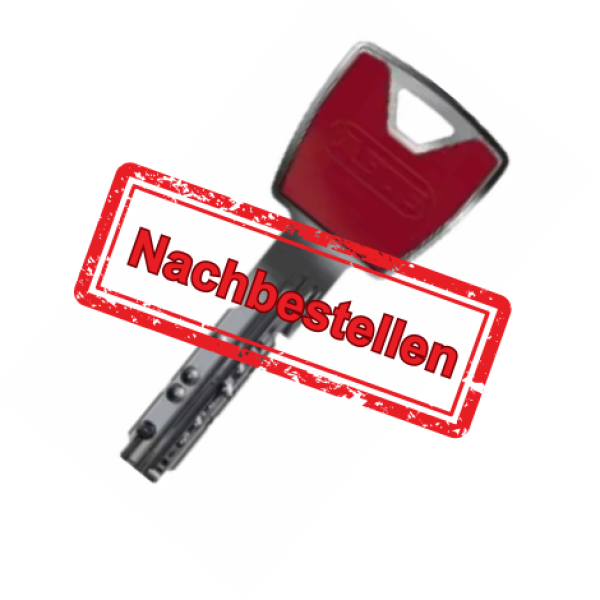 Nachschlüssel für Schließzylinder in Originalqualität – passend für Profil-, Knauf-, Halb- und Doppelzylinder, gefertigt mit Sicherungskarte oder Schließnummer.